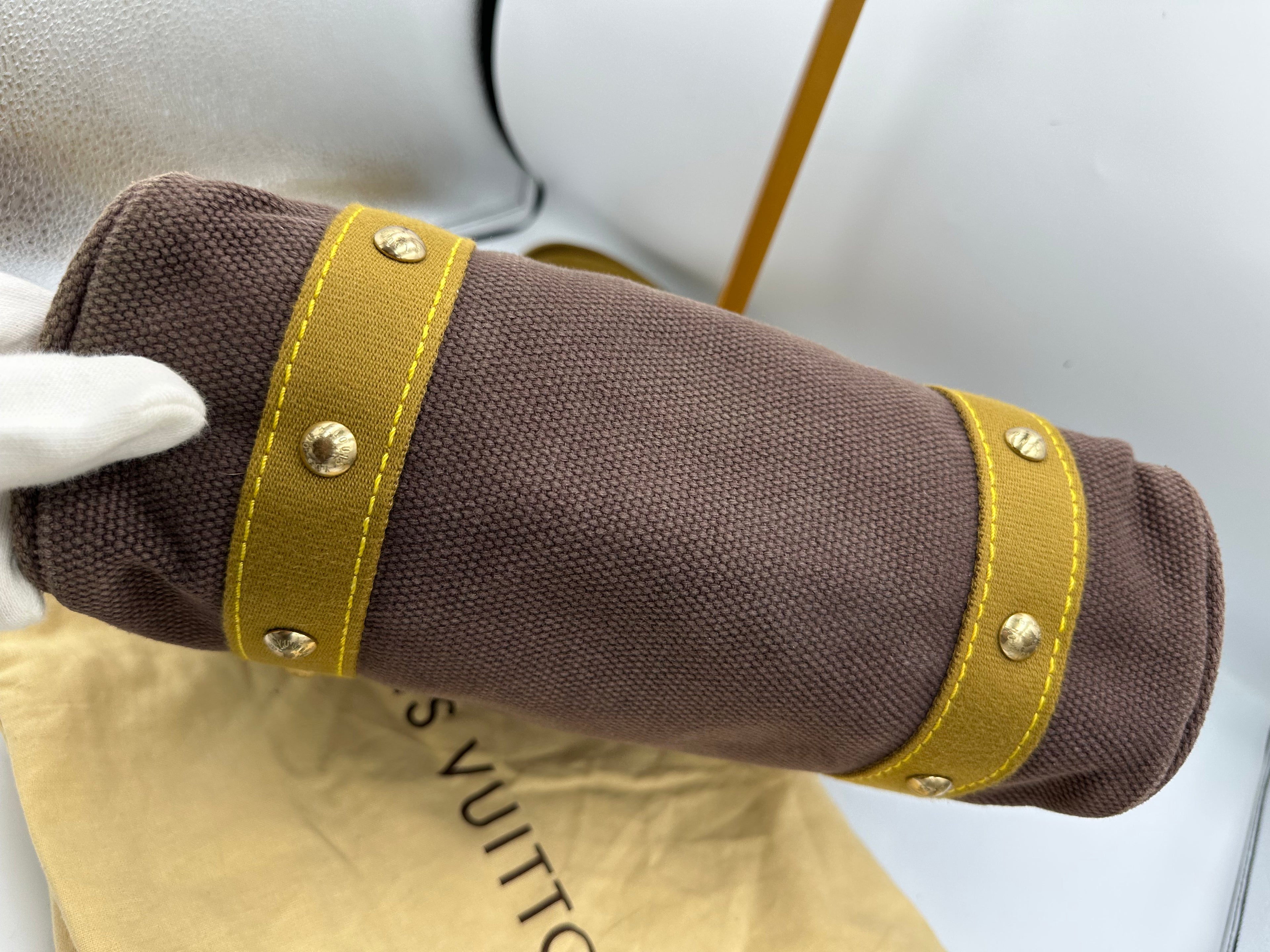 Limited Edition Louis Vuitton Antigua Canvas MM shoulder bag