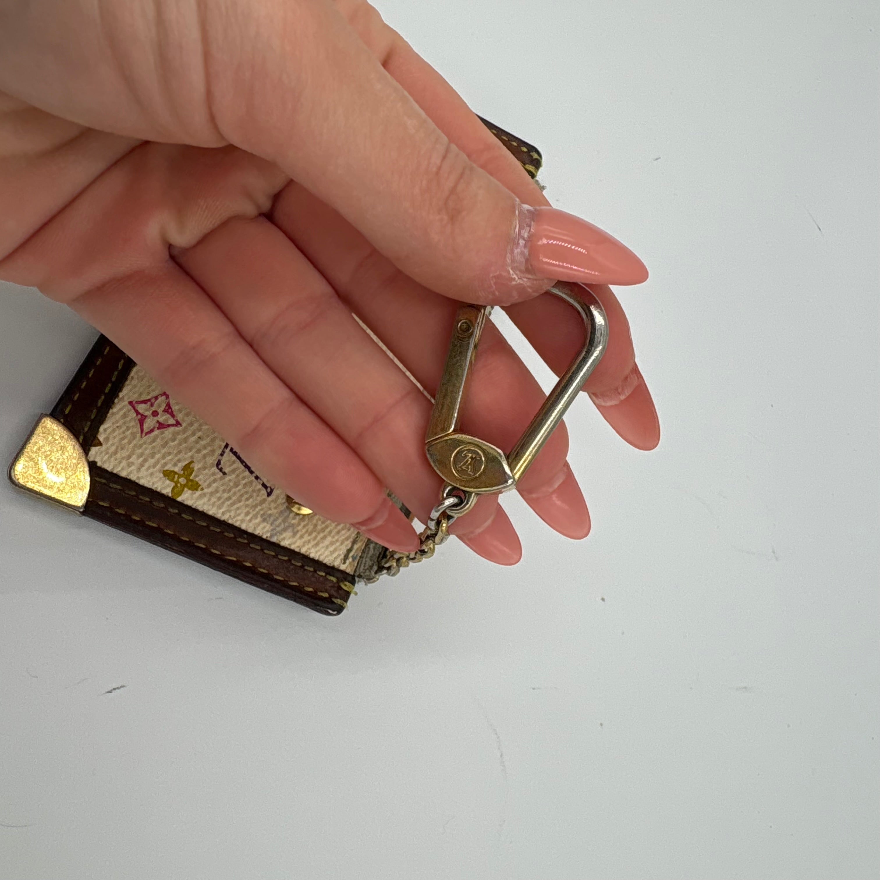 Louis Vuitton Multicolour pochette coin purse