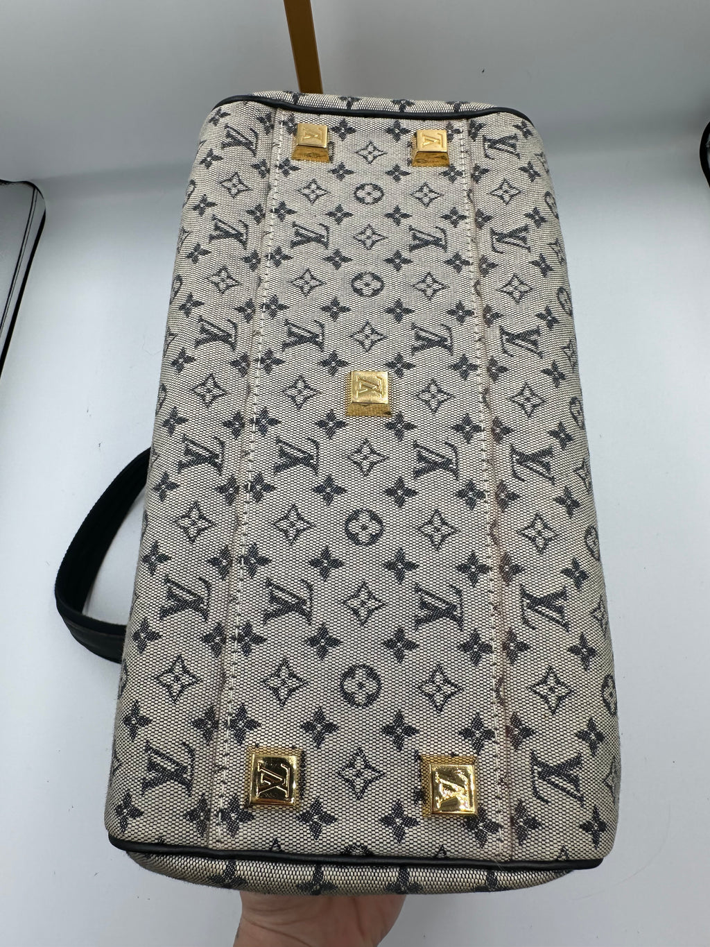 Rare Louis Vuitton Josephine PM denim monogram bag