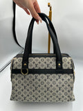 Rare Louis Vuitton Josephine PM denim monogram bag