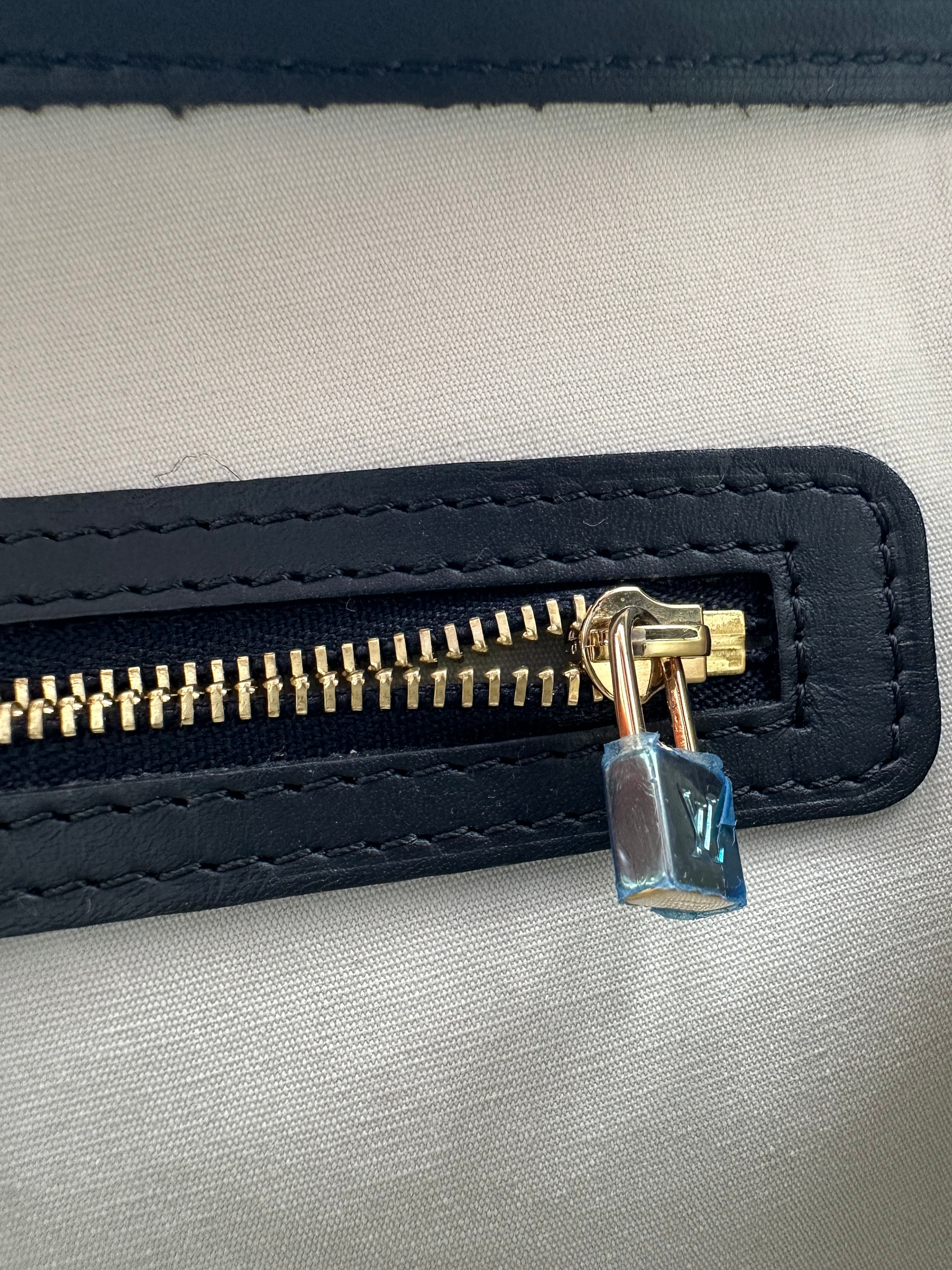 Rare Louis Vuitton Josephine PM denim monogram bag