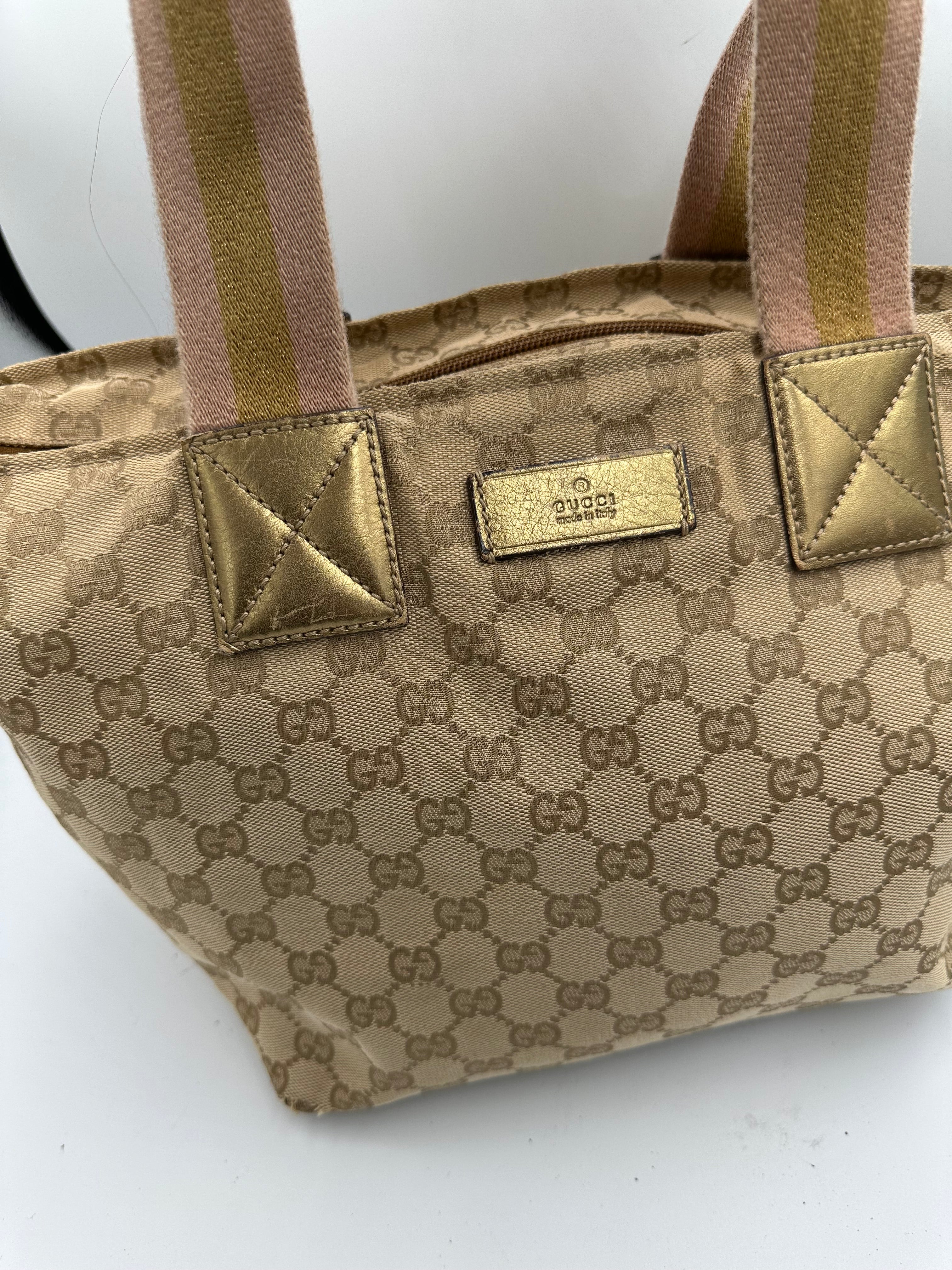 Gucci GG Canvas Web Shoulder bag